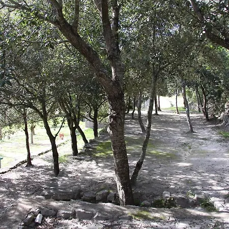 Résidence L'araguina Campeggio 2*