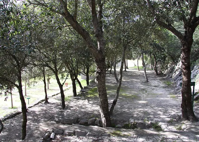 L'araguina Kemping 2*